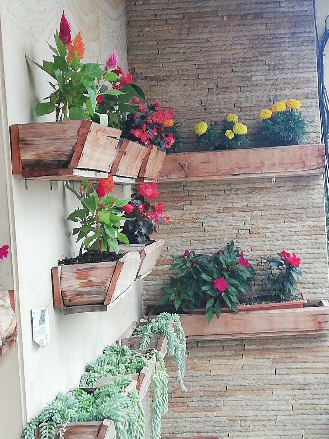Hostal Casa Paraiso Μεντεγίν Εξωτερικό φωτογραφία